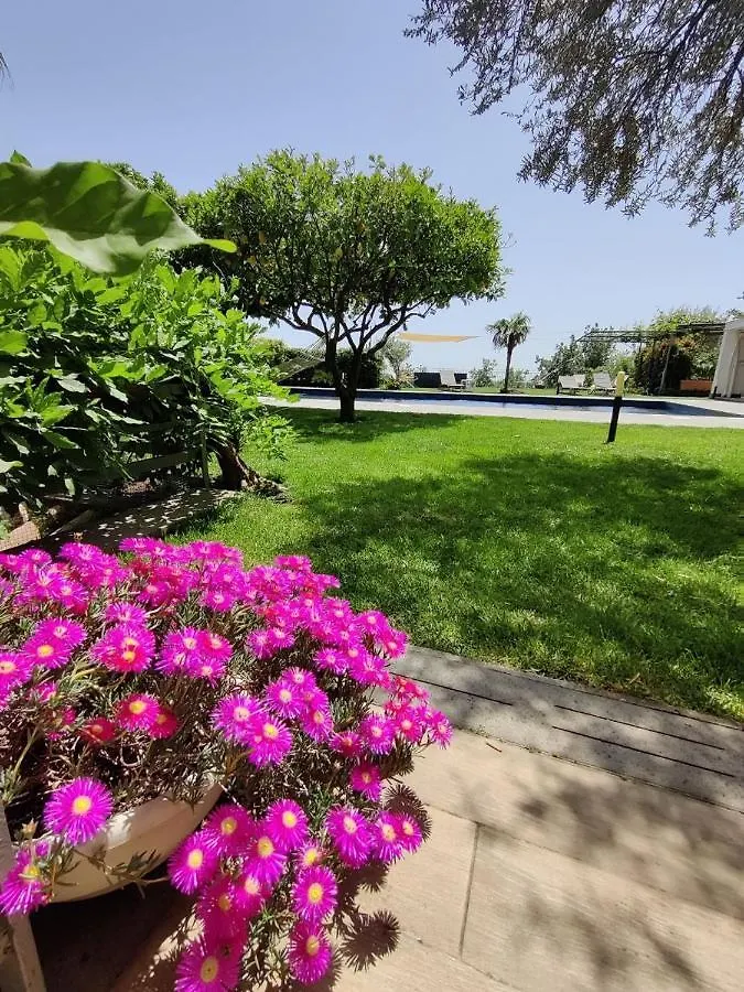 *** Oda ve Kahvaltı Etna Bike Holiday Zafferana Etnea İtalya